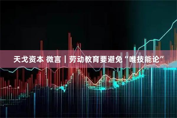天戈资本 微言｜劳动教育要避免“唯技能论”