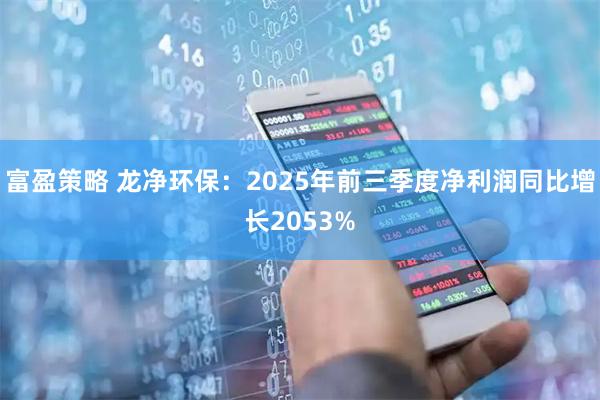 富盈策略 龙净环保：2025年前三季度净利润同比增长2053%